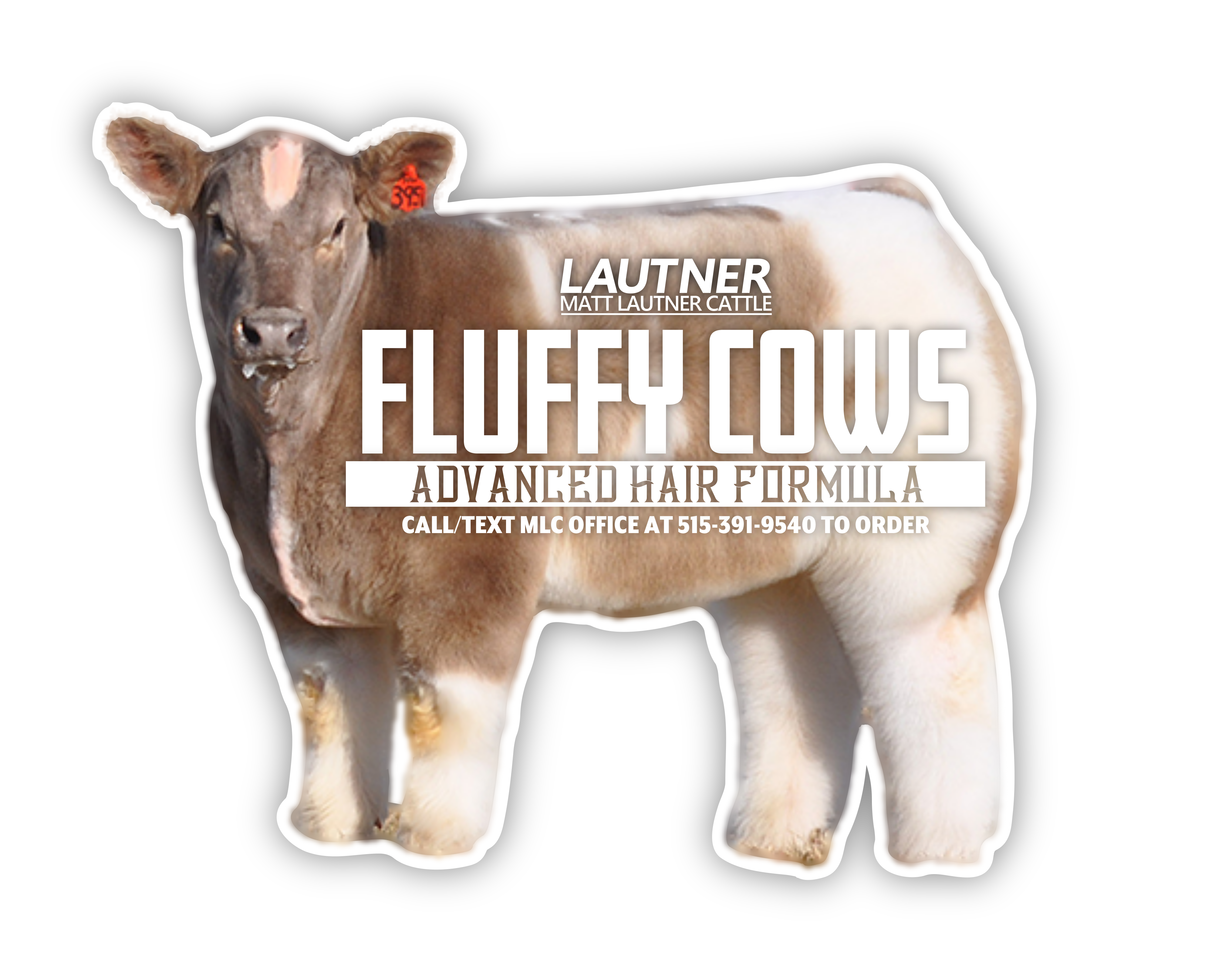 FLUFFY COWS HAIR CARE SUPPLEMENTS – Matt Lautner Cattle Online Store